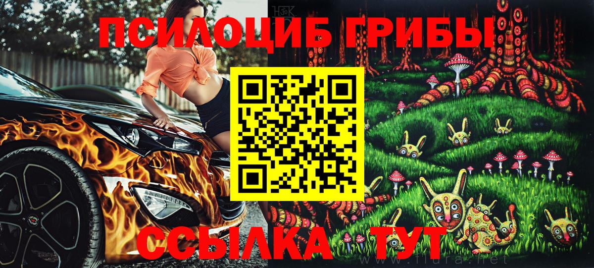 Кольчугино  Галлюциногенные грибы ЛСД  Вход с VPN 